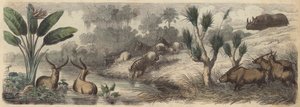 Wasserstelle in Südafrika