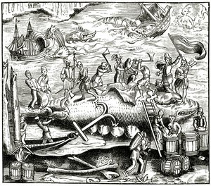 Walfang, nach einem Holzschnitt in Cosmographie Universelle von Munster, veröffentlicht 1552 von German School