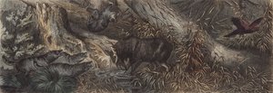 Tierwelt Nordrusslands