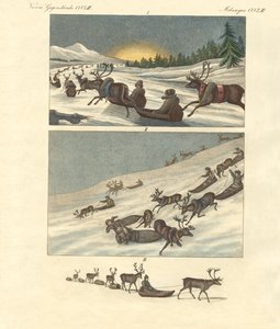 Winterreisen in Lappland von German School