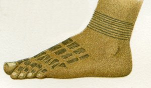 Beispiel für Dayak-Fußtattoo-Designs, Borneo, 1894
