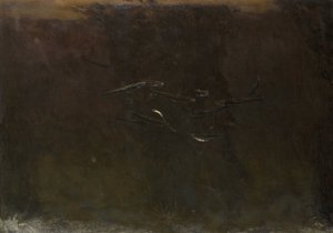 Fische in einem Aquarium