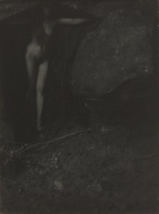 Die Fledermaus von Gertrude Käsebier