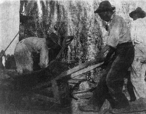 Drei Arbeiter. Fotografie zeigt drei afroamerikanische Arbeiter bei der Arbeit. (ca. 1900)