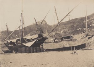 Salerne