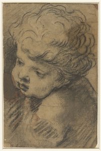 Kopf eines Putto