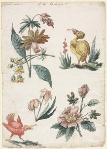 Florale Designs mit zwei Vögeln, 1774 von Giacomo Cavenezia