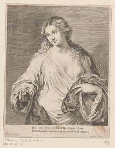 Flora