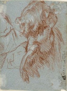 Studie für Detail: Kopf eines Cherubs