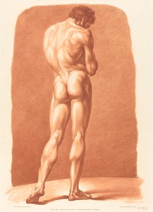 Akademie (679)
