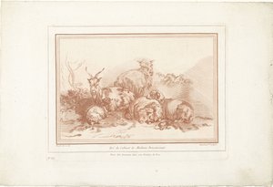 Liegende Schafe und Ziege