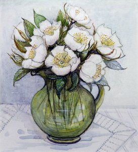Weihnachtsrosen, 1984