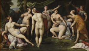 Diana entdeckt Callistos Schwangerschaft von Gillis Coignet