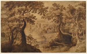 Waldlandschaft mit Aussicht