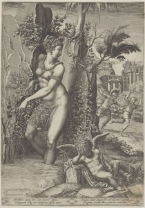 Venus und die Rose