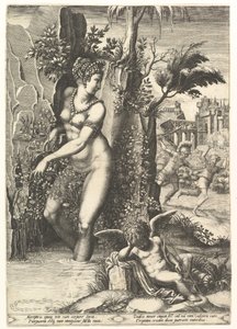 Venus von den Dornen eines Rosenstrauchs gestochen, im Hintergrund Mars, der Adonis jagt, 1556