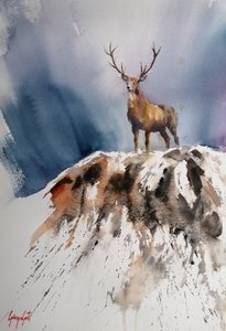 Majestätischer Berg-Hirsch von Giorgio Gosti