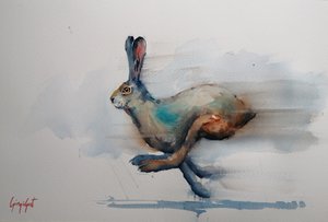 Rasender Aquarellhase
