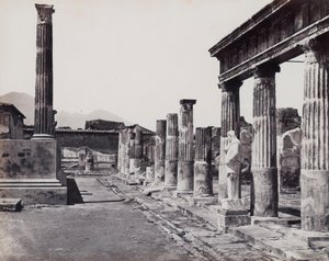 Östliche Kolonnade des Tempels der Venus Pompeiiana in Pompeji von Giorgio Sommer