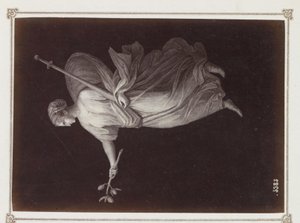 Fotoreproduktion von (vermutlich) einem Druck, darstellend eine Frauenfigur mit einem Zweig und einem Schwert in der Hand