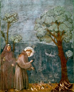 Episode aus dem Leben des Heiligen Franz von Assisi: Die Predigt an die Vögel (Fresko) von Giotto (c.1266 1337)