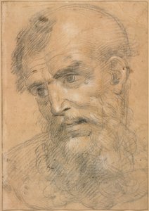 Kopf eines bärtigen Mannes (recto); Studie für eine sacra conversazione (verso) von Giovanni Antonio Sogliani