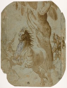 Bekehrung des Hl. Paulus (recto); Mann von hinten gesehen (verso) von Giovanni Antonio da Pordenone