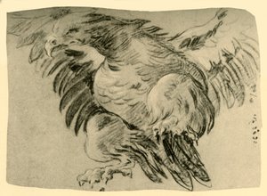 Adler, 1751-1752, 1928 von Giovanni Battista Tiepolo