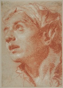 Kopf eines jungen Mannes in Dreiviertelansicht von Giovanni Battista Tiepolo