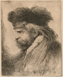 Bärtiger Mann mit Pelzmütze, nach links gewandt von Giovanni Benedetto Castiglione