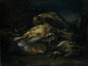 Toter Vogel, 1664