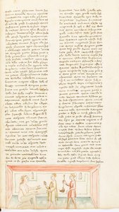Dekameron, Die zwei Dummköpfe - Gianni di Barolo täuscht Pietro, Neunter Tag, Novelle 10