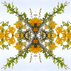 Unnatural 175 von Giovanni Cafagna