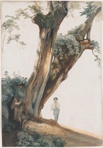 Alte Bäume in der römischen Campagna von Giovanni Costa