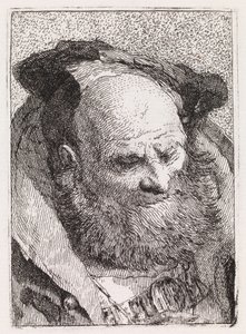 Alter Mann mit Bart von Giovanni Domenico Tiepolo
