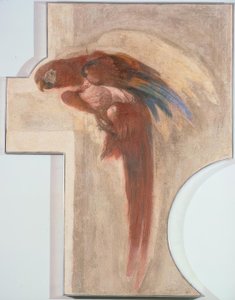 Papagei