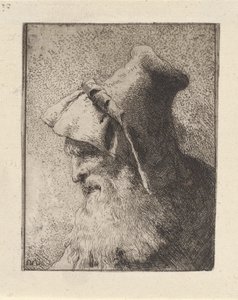Profil eines älteren Mannes mit Bart, aus der Raccolta di Teste (Sammlung von Köpfen)