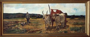 Florenz, Maremma Toscana, circa 1894