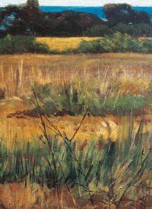 Maremma Toscana, circa 1894 (Detail) von Giovanni Fattori