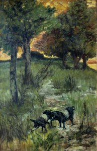 Italien, Florenz, Schweine auf der Weide