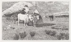 Ochsen am Wagen (Maremma) von Giovanni Fattori