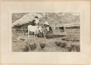 Ochsen und Wagen (Maremma)