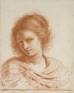 Kopf einer jungen Frau, 1650 - 1666