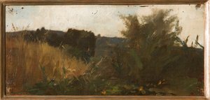 Studie der Vegetation