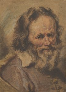 Kopf eines bärtigen Mannes, 1600-1630