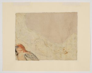 Vogelskizze, verso (Kreide auf Papier) von Giovanni da Udine (after)