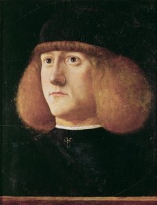 Porträt eines jungen Mannes von Giovanni di Niccolo Mansueti