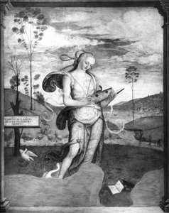 Clio von Giovanni di Pietro c.1450 1529 Giovanni di Pietro c.1450 1529
