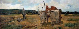 Landschaft in der Maremma