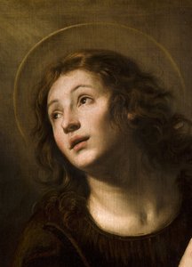 Sankt Johannes der Evangelist